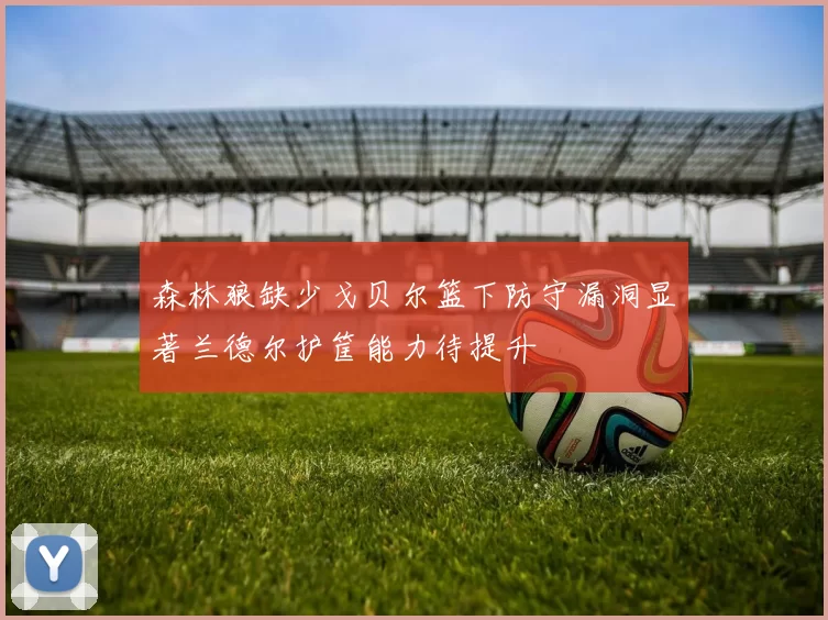 森林狼缺少戈贝尔篮下防守漏洞显著兰德尔护筐能力待提升