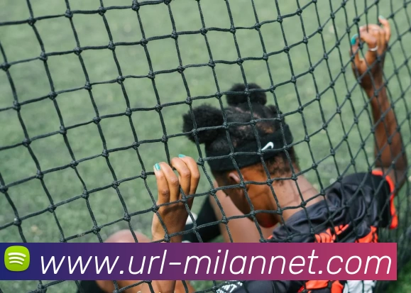 米兰体育APP 封面图